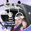 Black and White Sensory Toys for Babies,Montessori Toys for Babies,High