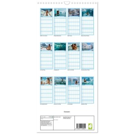 Familienplaner 2025 - Eisbaden mit 5 Spalten (Wandkalender, 21 cm x 45 cm), CALVENDO