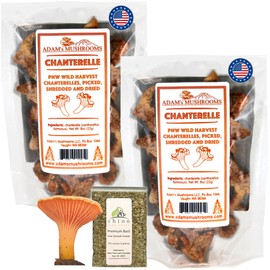 Adam's Mushrooms, Pacific Northwest Wild Chanterelles Mushrooms (Cantharellus Formosus), Dried Chanterelle Mushrooms For Cooking, 0.8 oz (Pack of 2) + Includes-Free Rhino Fine Foods Basil .071 oz