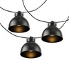 SAFAVIEH Lighting Collection Claudie Black 10-Foot LED Outdoor String Lights
