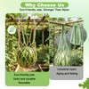 10 Packs Jute Melon Hammocks for Trellis, Watermelon Holder for