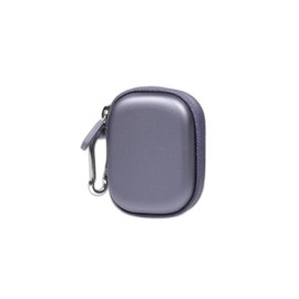 CaseSack Case for JBL Tune Flex True Wireless Noise Cancelling Earbuds (Blue)