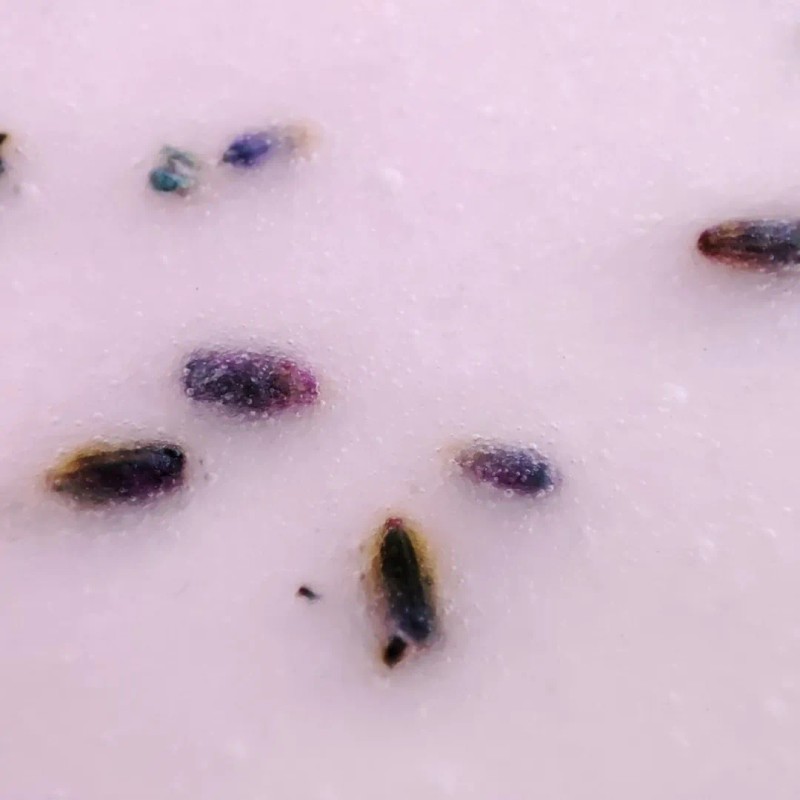 🔥 Mascarilla hidro plástica calmante con lavanda y kava kava