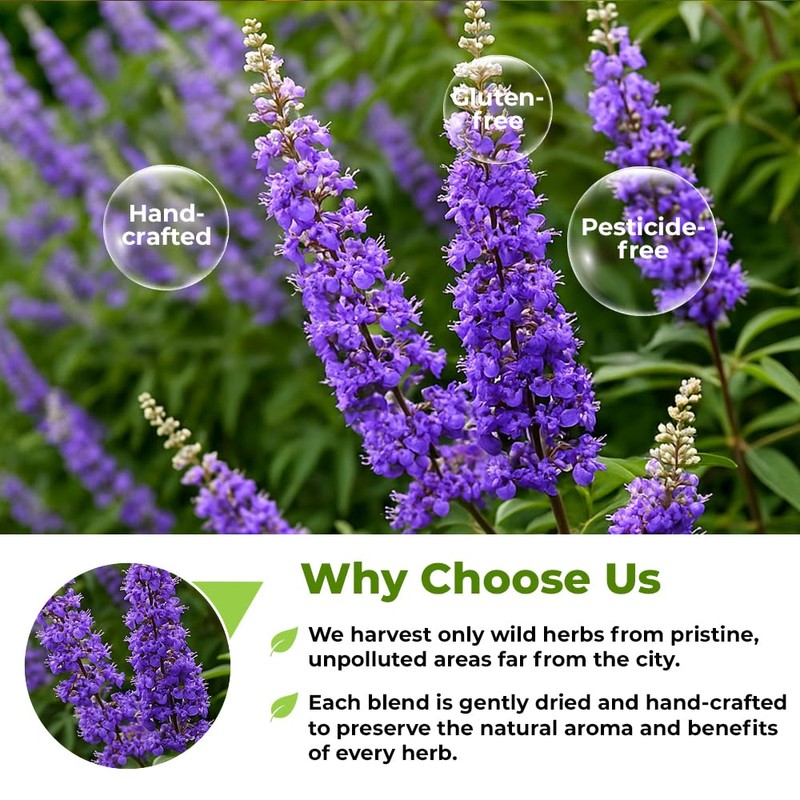 50 Bags Chaste Tree Berry Сhasteberry Tea Vitex Tea Herb