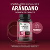 Life 360 Antiox Blend Arándano 120 Cápsulas 873 6mg Por
