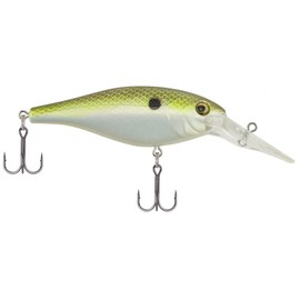 Berkley® Bad Shad™