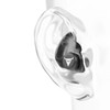 Decibullz Moldable Earplugs - 31dB Highest NRR, Comfortable Hearing Protection