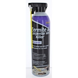 Bonide 15 oz. Termite & Carpenter Ant Spray
