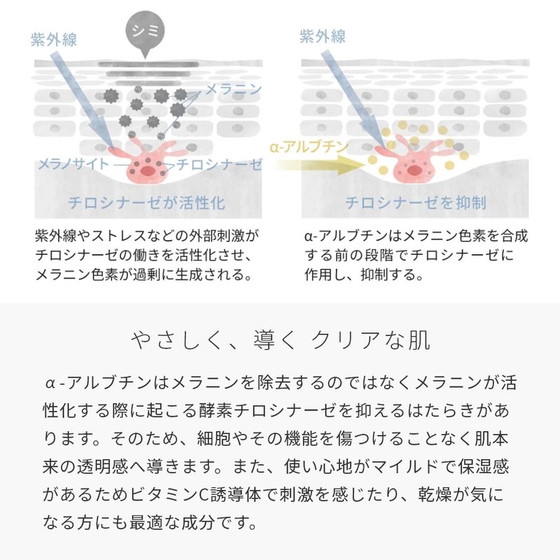 α-arbutin/0.4 oz (10 g)