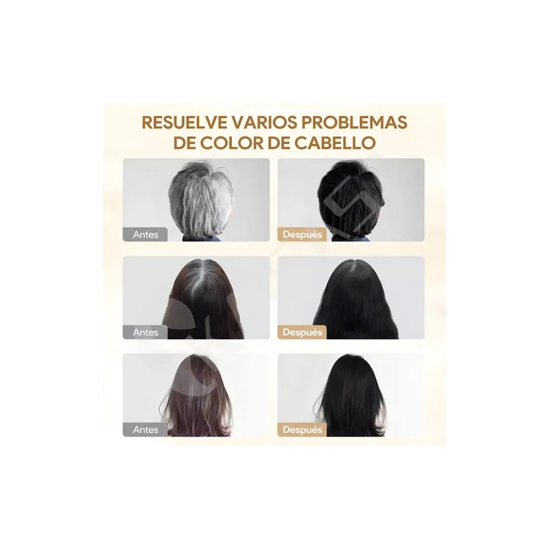 Kaisasa Shampoo Con Tinte Cubre Canas Natural Jengibre 500ml-Negro
