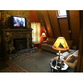 Rustic Bear Lamp Shade (Clip On) (9")