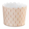 Städter 337336 muffin/cupcake box, Paper