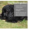 Vet Worthy Stop Stool Ingestion Liver Flavored Chewables for Dogs