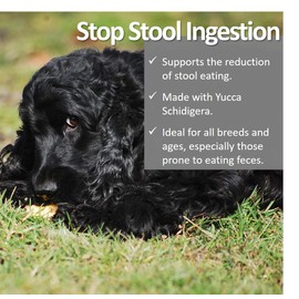 Vet Worthy Stop Stool Ingestion Liver Flavored Chewables for Dogs (120 count)