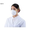 Aswan DS2 Disposable Dust Mask