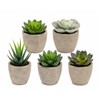 Artificial Succulent Plants in Decorative Cement-Style Pots – 5-Piece Faux