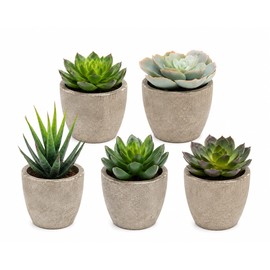 Artificial Succulent Plants in Decorative Cement-Style Pots – 5-Piece Faux Potted Succulent Set for Home, Office & Shelf Décor