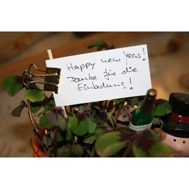 Original Mauly Klemmer 25 mm, Lifehack-Klemmer, clamping width 9 mm, 2142590, box 12 pieces, black