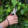 GRKJGytech Pruning Shears and Secateurs Professional Garden Scissors Stainless Steel