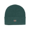 Dickies Men's Standard Acrylic Cuffed Beanie Hat, Forest, One Size