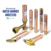 Supply Giant IS-D-1NQU Type C Straight Water Arrestor with 1"