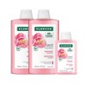 chlorane Klorane Peony Shampoo 400ml x 2 + 100ml (Sensitive