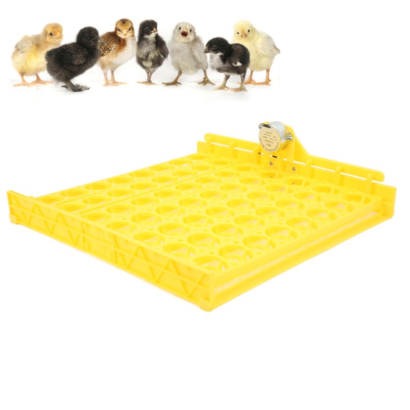 Automatic Egg Turner 56 Eggs ABS Automatic Egg Turner for