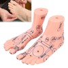 Foot acupoint model, foot point model PVC eco-friendly educational tool