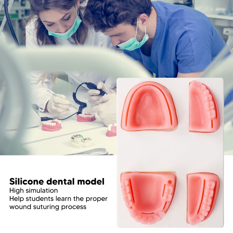 Dental Suture Practice Kit Silicone Model Pliers Tweezers Thread Oral