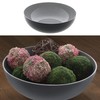 Cepewa Decorative Bowl, Diameter 30 cm x Height 10 cm,