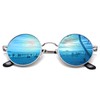 Pro Acme Retro Small Round Polarized Sunglasses for Men Women