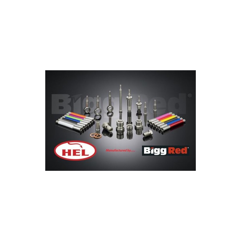 Bigg Red – FRONT Brake Caliper Rebuild Repair Seal Kit