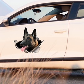Car Sticker Belgian Malinois Car Sticker 22 cm (8.7 Inch) 3D Torn Sticker Pet Dog Sticker Waterproof Belgian Shepherd Reflective Sticker