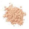 Excel Clear Lucent Powder CP1 (Natural) Face Powder