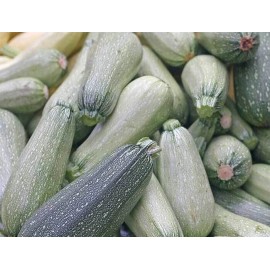 Unbranded Zucchini Grey Summer Squash - Heirlooms - 2.grams