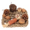 Bird Climbing Net Rattan Ball Pine Cone Corn Cob Nuts