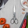 3 Claveles Juliet Scissors Stainless Steel Shiny Centimeter