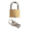 Dapetz ® Brass Mini Padlock 25mm with 3 Keys Steel