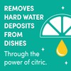 Lemi Shine Shine and Dry Natural Dishwasher Rinse Aid -