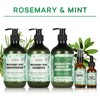 Rosemary Leave In Conditioner,Creamy Smooth Vitamin B5 Hair Conditioner, Deep
