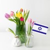 Israel Flag Small Israeli Flag 12 Pack Mini Hand Held