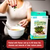 Back to the Roots DIY Microgreen Grow Kit, 6-Grow Variety