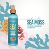 Mielle Moss Acondicionador 236 ml