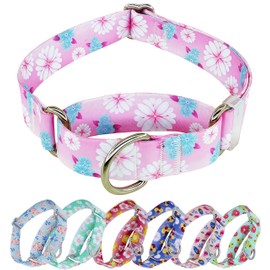 GUXL Martingale Dog Collar, Adjustable Soft No Pull Training Collar with No Buckle, Floral Pattern No Slip Martingale Collars for Small Dogs (3/4" Width S)