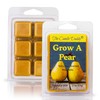 The Candle Daddy Grow A Pear - Spice Pear Scented