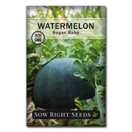 Sow Right Seeds Sow Right Seeds - Sugar Baby Watermelon Seed for Planting - Non-GMO Heirloom Packet with Instructions to Plant a Home Vegetable Garden - Medium Sized with Dark Rind and Super Sweet Flesh (1)