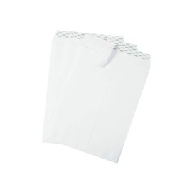 Staples 379479 Easyclose Catalog Envelopes 9-Inch L X 12-Inch H White 100/Box (379479/19026)