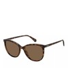 POLAROID PLD 4138/S 086 HAVANA 55/18/145 WOMAN Sunglasses