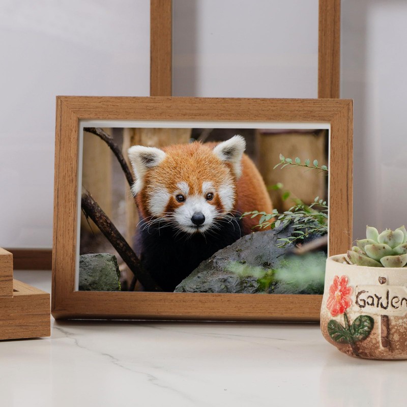Picture Frames 8x10 Photo Frame - for Wall and Tabletop