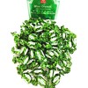 Garden Mint Crunch Candies And 1 Hot-Kid Milk Chewy Candy
